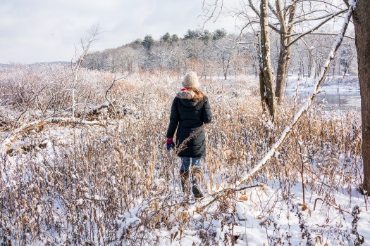 2323C989-2D42-4CDB-B966-0C0CE05D9556