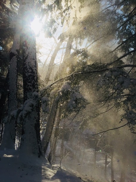 3934F9D0-5A3D-4563-BEEA-110956D3CD80