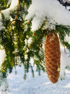 6D0320F7-51CE-4B2A-B589-7C2A09ED482E