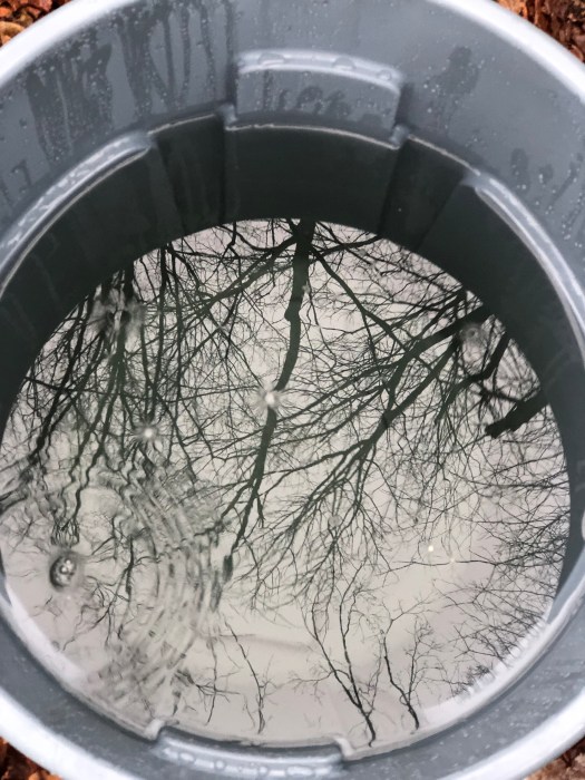 1ADBB02A-38CD-435A-BA06-403D3B2D0856