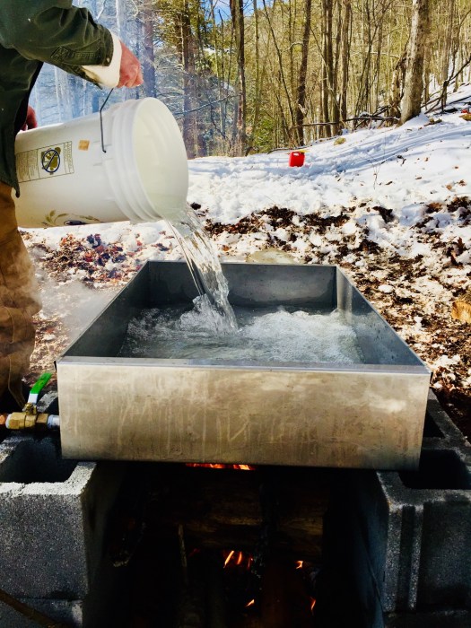 DCE9EA1D-3FD0-405A-ABAD-C45999602307