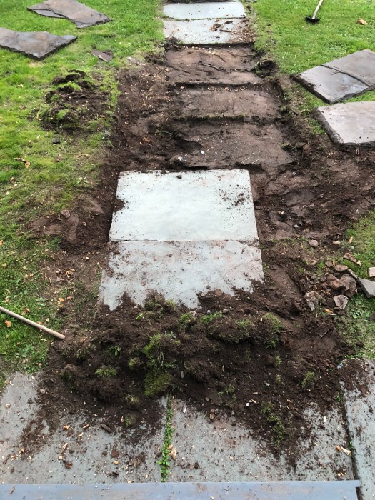 1046E0C1-EB48-4ED3-9C4E-923065A5C105