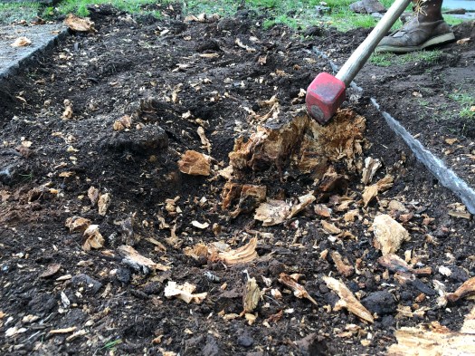 6826BFF6-70F9-4AEF-AF47-0F666C07D4DE