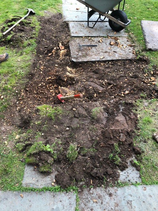 77EBA7A8-53B5-405E-9FFC-F4329E3CD9BB