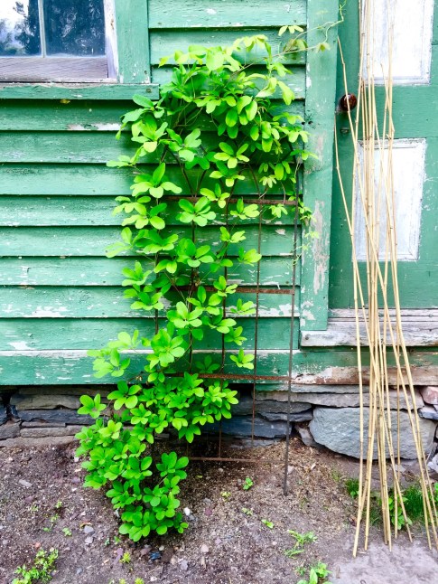 A0253E19-52E4-4273-ACF4-904B8A7E375B