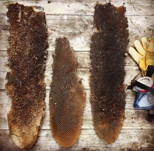 DE0B62E6-B14B-40AB-90E3-823D49841071